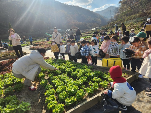 광주 동구, 도시농업복합단지 농작물 수확·체험 행사
